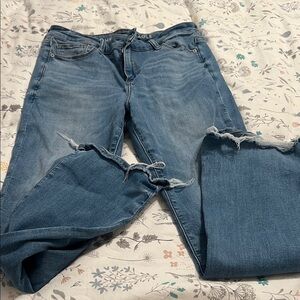 American Eagle Outfitters Distressed Blue Straight Leg Jeans